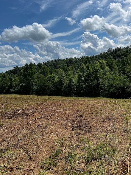 0 Montgomery Rd Unit 25015826, Ezel, KY 41425