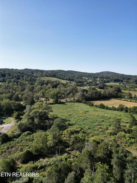 317 Singleton Hollow Rd Unit lot 1, Speedwell, TN 37870