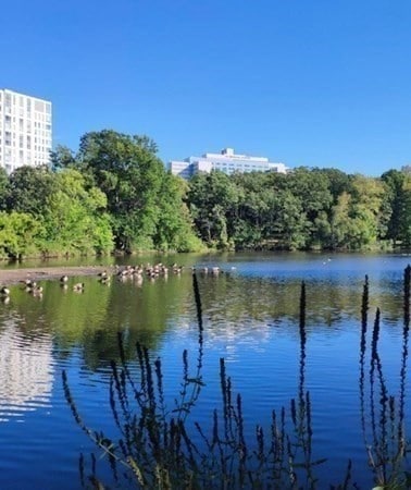 175 High St Unit 1, Brookline, MA 02445