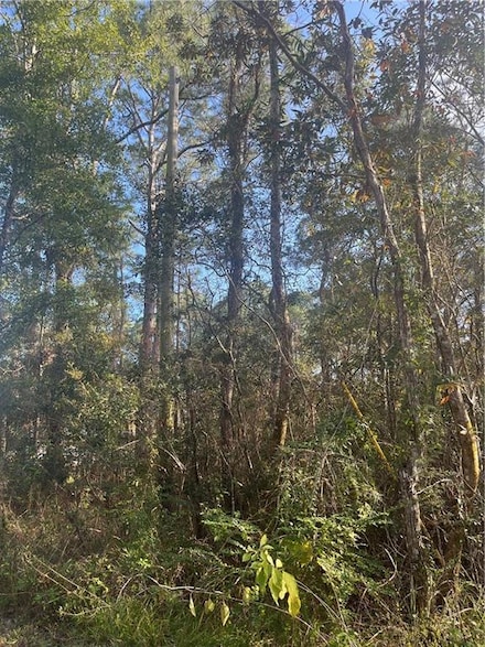 1869 Cedar Creek Cir, Coden, AL 36523