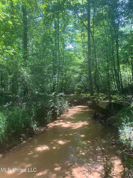 0 Springhill Church Rd, Waynesboro, MS 39367