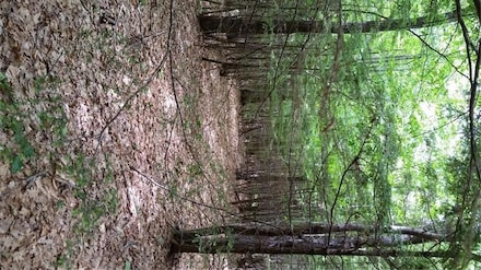 Lot 1K Clarks Bridge, Waterboro, ME 04061