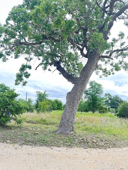 136 Wild Bird Loop, Smithville, TX 78957
