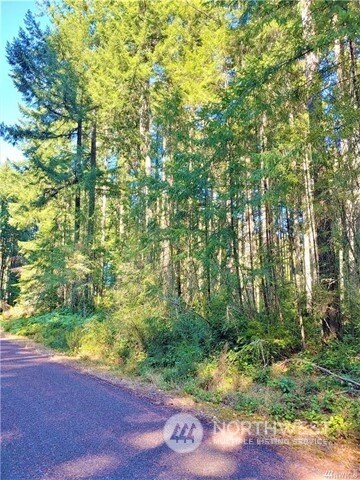 10001 129th Avenue Ct, Anderson Island, WA 98303