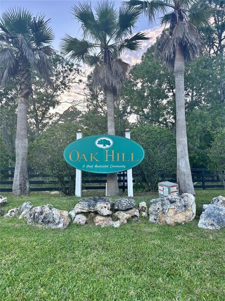 TBD Cr 243, Wildwood, FL 34785