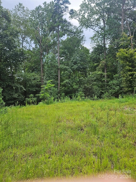 161 Starling Rd, Lake Lure, NC 28746
