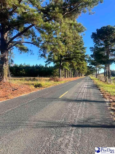 TBD Southern Aire Road #1, Timmonsville, SC 29161