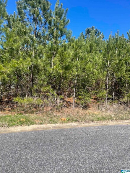 1424 14th St Unit 17, Pleasant Grove, AL 35127
