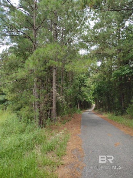 22200 Gap Weekly Rd, Perdido, AL 36562