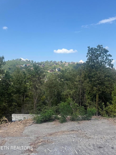 975 Cottage Gardens Way, Gatlinburg, TN 37738