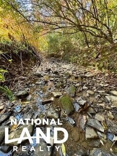 0 Chop Bottom Rd Unit 25414458, Manchester, KY 40962