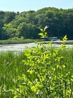 XXX Pinewood Ct, Browerville, MN 56438