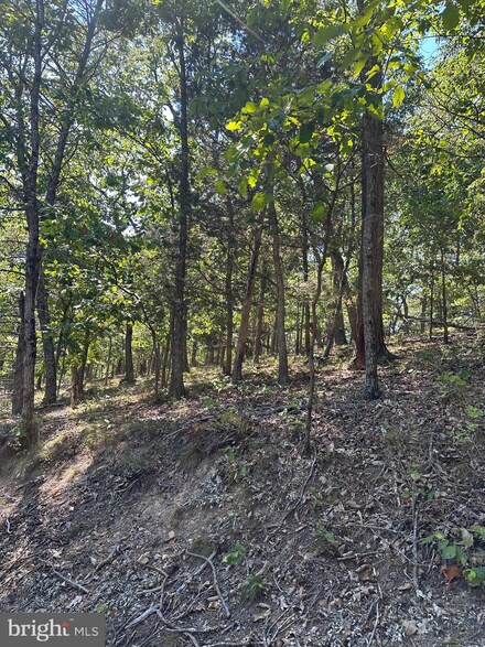 0 Nicklaus Unit 41 VASH2009584, Basye, VA 22810