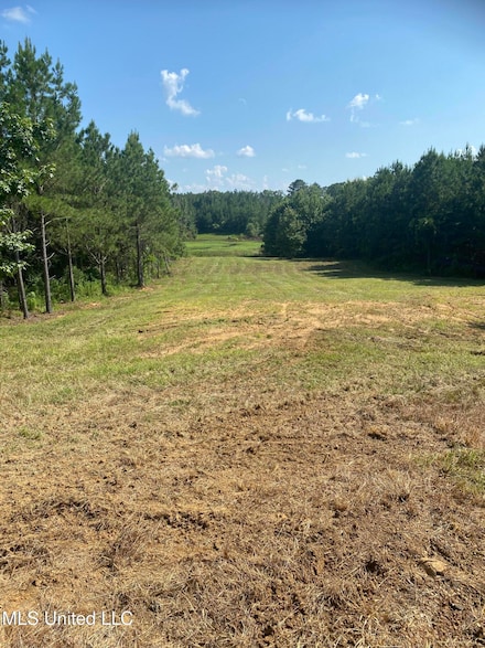 448 Attala Rd 4005, Goodman, MS 39079