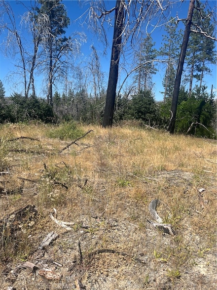 122 Simpson Ranch Rd, Berry Creek, CA 95916