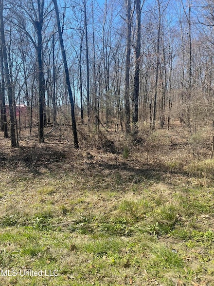 0 Catlett Rd Unit 4104052, Madison, MS 39110