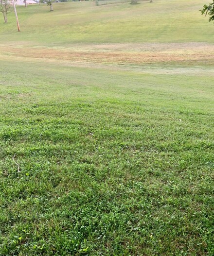 307 Tidal Wave Rd, Corbin, KY 40701