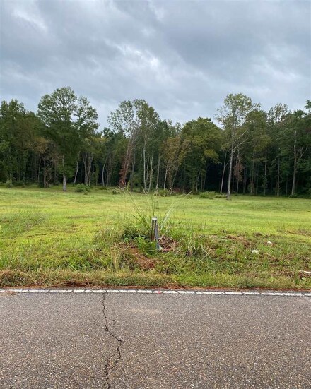 1408 Old Pearson Rd Unit 246.87x734.96x126x27, Florence, MS 39073