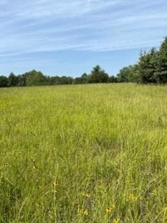 0 An County Road 2610 Unit 101318, Tennessee Colony, TX 75861