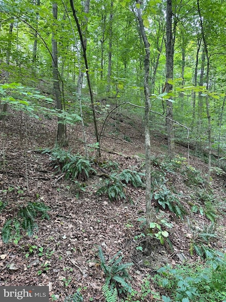 Off Reynoldsdale Rd, New Paris, PA 15554