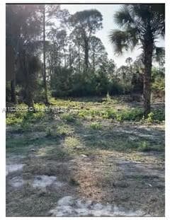 322 Lubdel Ave S, Lehigh Acres, FL 33974