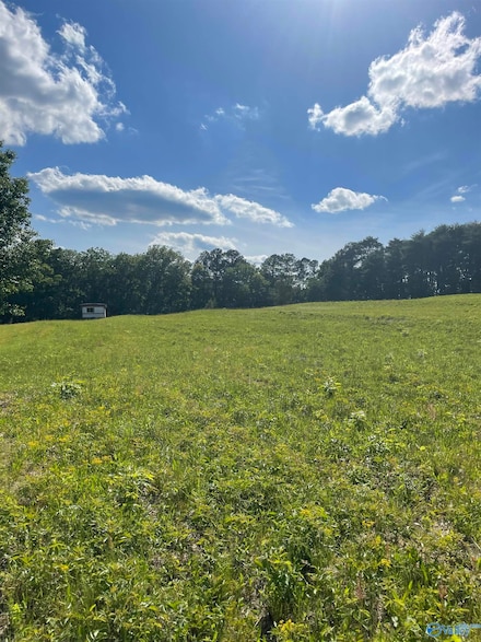 1779 County Rd, Collinsville, AL 35961