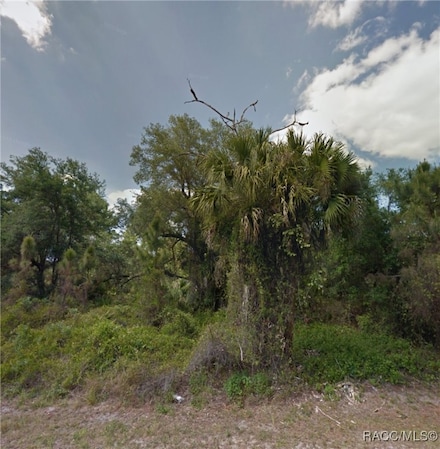 20404 Wingate Ave, Port Charlotte, FL 33954