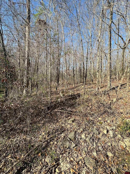 300-00220-000 Blackfoot Dr, Cherokee Village, AR 72529