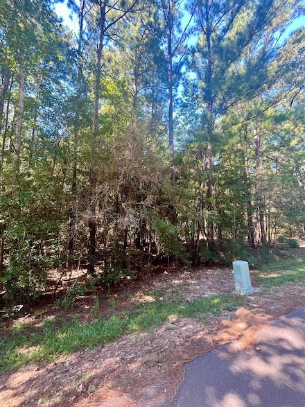 34977 Victoria Dr, Brookeland, TX 75931