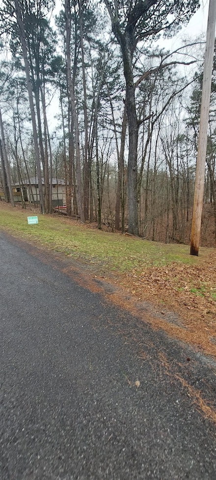 337 Arlington Dr, Hot Springs National Park, AR 71913