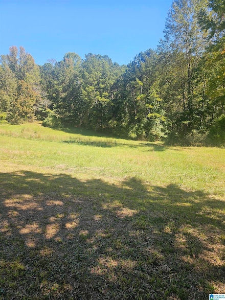 11840 N Scottsville Rd, West Blocton, AL 35184