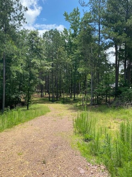 764 Everett Springs Rd, Calhoun, GA 30701