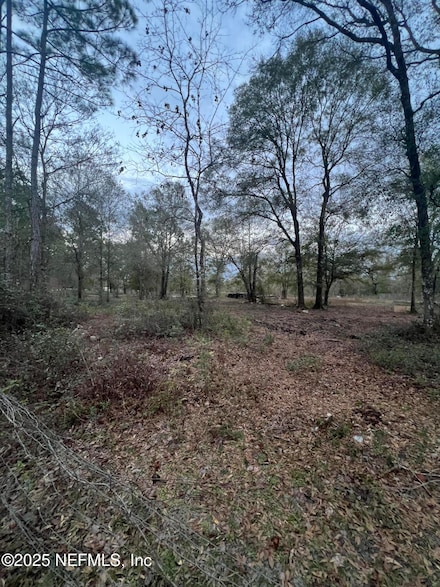 TBD NW 251st St, Lawtey, FL 32058