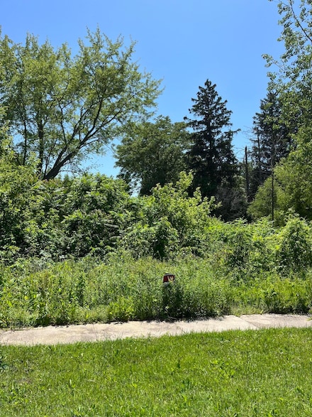 V/L West St, Covert, MI 49043