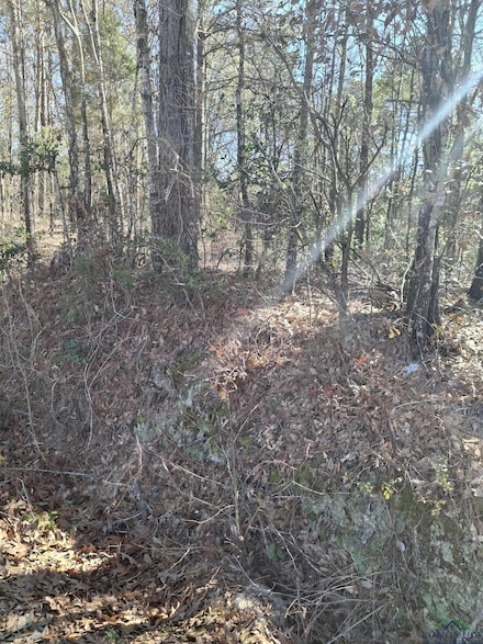 803 Sand Ave, Henderson, TX 75652