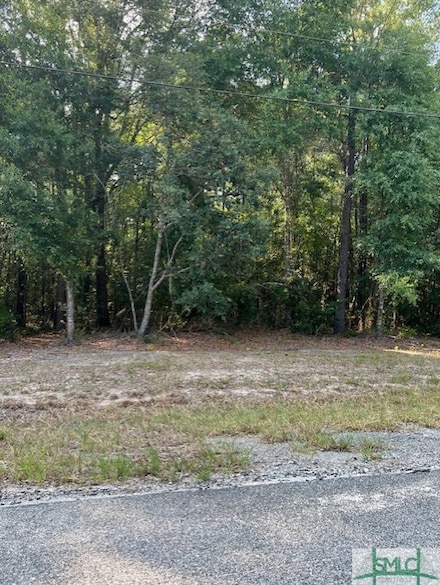 124 Cherokee Dr, Guyton, GA 31312