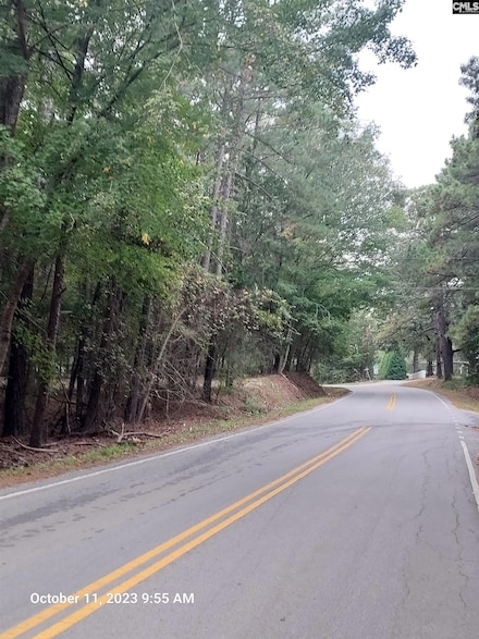 100 Stone Hill Rd, Chapin, SC 29036