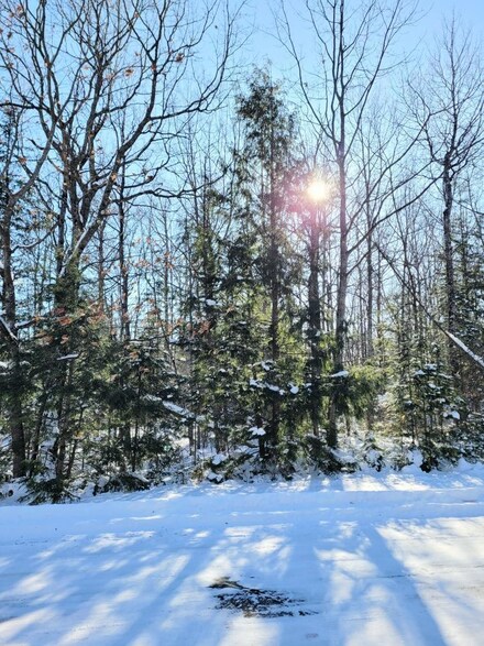 ON W Lake Dr Unit 79+/- A, Mellen, WI 54546