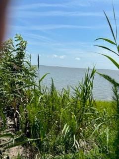 lot F Walter St, Quinby, VA 23423