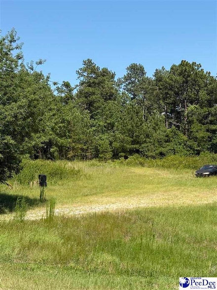 807 Brown Springs Church Rd, Hartsville, SC 29550