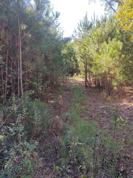 00 Joe Robertson Rd, Rocky Face, GA 30740