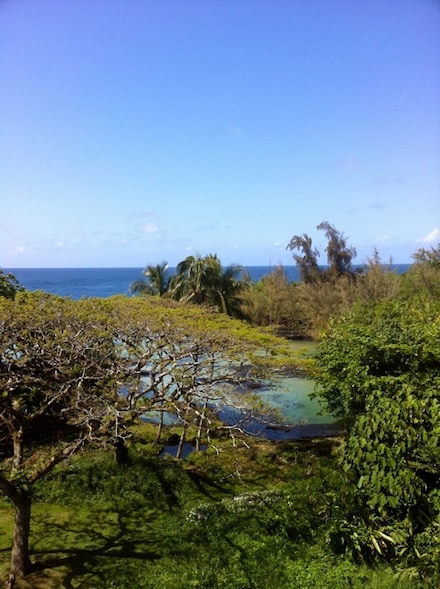 1875 Mauna Loa Shores Unit 504, Hilo, HI 96720