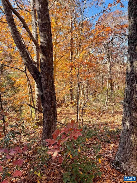 19 Chickasaw Place, Lake Monticello, VA 22963