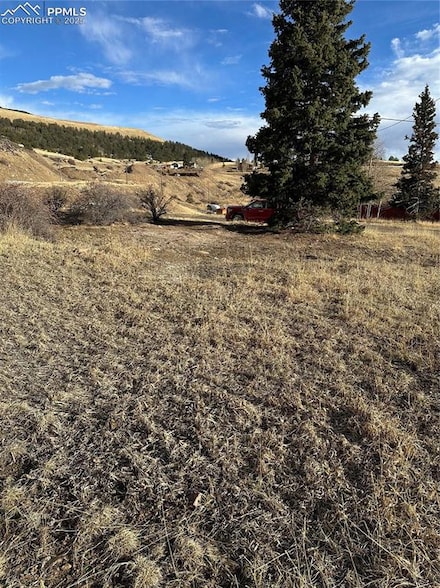 TBD Whiting Ave, Cripple Creek, CO 80813