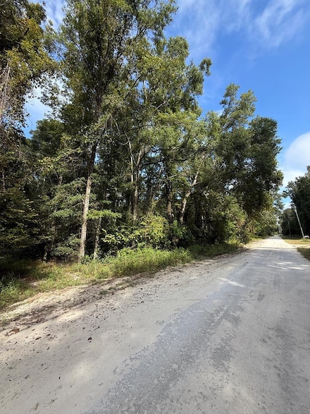 0 NE 746th St, Old Town, FL 32680