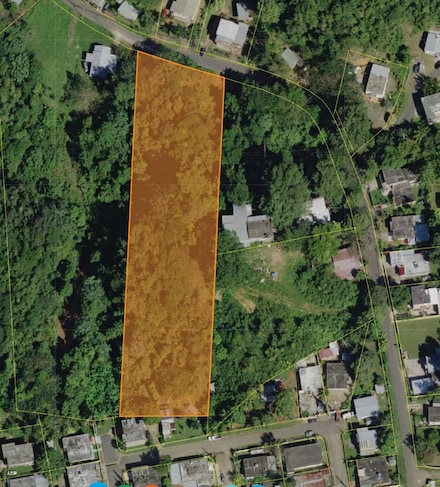 Predio 1 Sector Palo Blanco Bo Miraflores, Arecibo, PR 00616