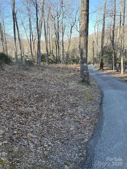 000 Fairway Loop Unit 6, Burnsville, NC 28714