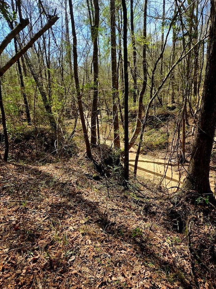 00 J L Robbins Rd, Carson, MS 39427