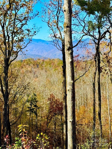 30 Golf Course Rd Unit 2, Old Fort, NC 28762