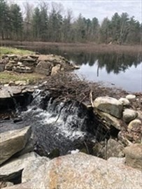 31 Central Turnpike, Wilkinsonvile, MA 01590